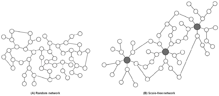 The random network and scale free network A Random network follows Poisson