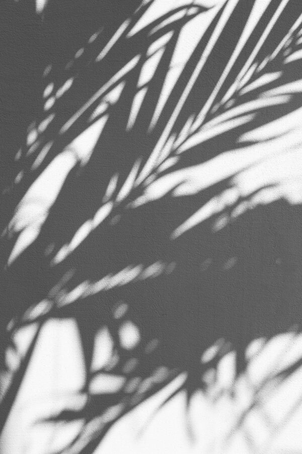 augustine-wong-T0BYurbDK_M-unsplash (1)
