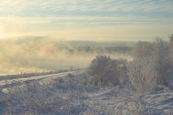 ann-gogoleva-CgY5QY3KbFM-unsplash (1)