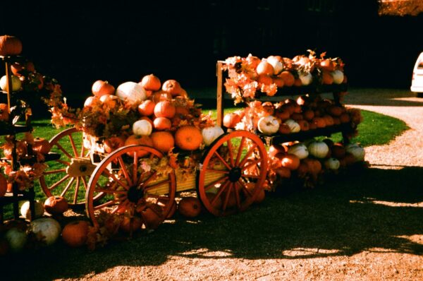 tanya-barrow-in9rslL4Z7I-unsplash